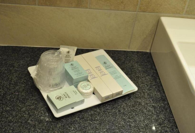 스탠다드 트리플 룸, Motel 2