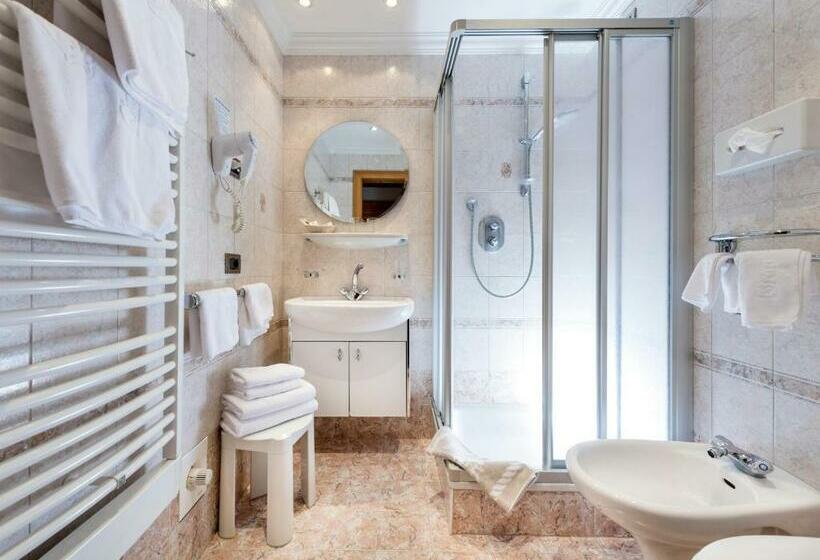 غرفة قياسية, Wellness Hotel Gran Risas