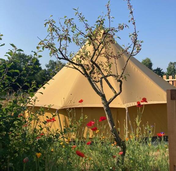 스탠다드 테라스 룸, ô Bord De Loire