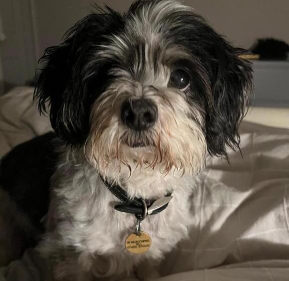 标准间, Humphreston House