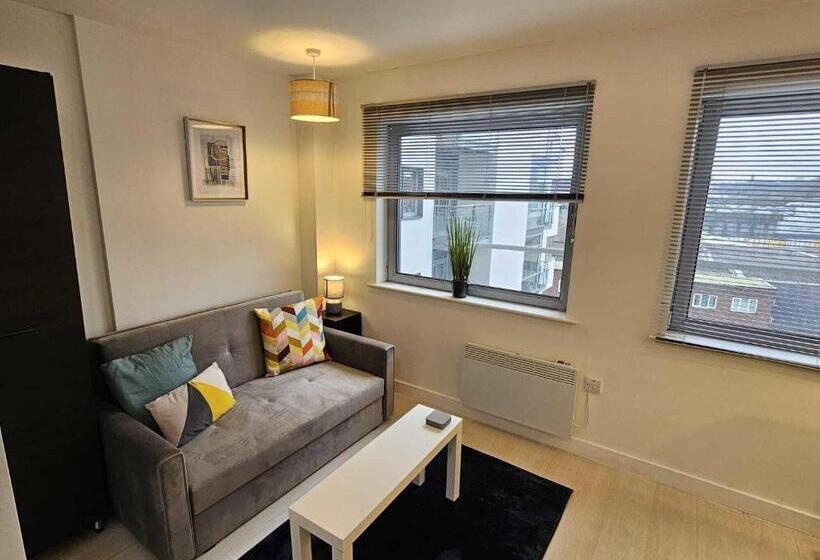 스탠다드 스튜디오, Manor Mills Jcs Property