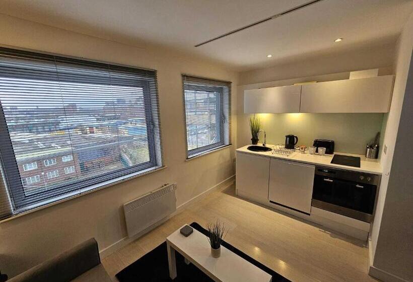 스탠다드 스튜디오, Manor Mills Jcs Property