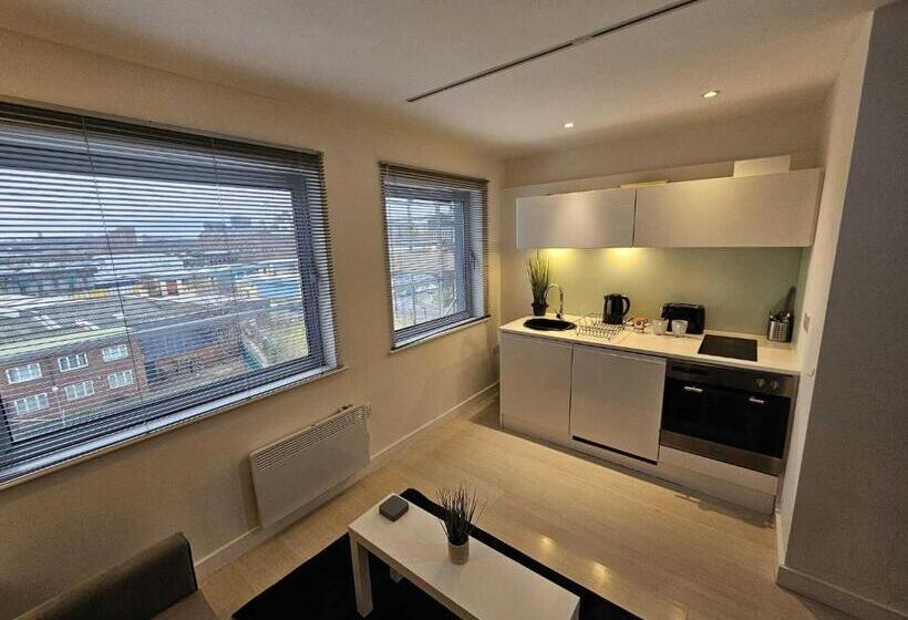 스탠다드 스튜디오, Manor Mills Jcs Property