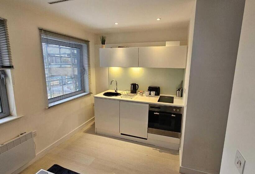 스탠다드 스튜디오, Manor Mills Jcs Property