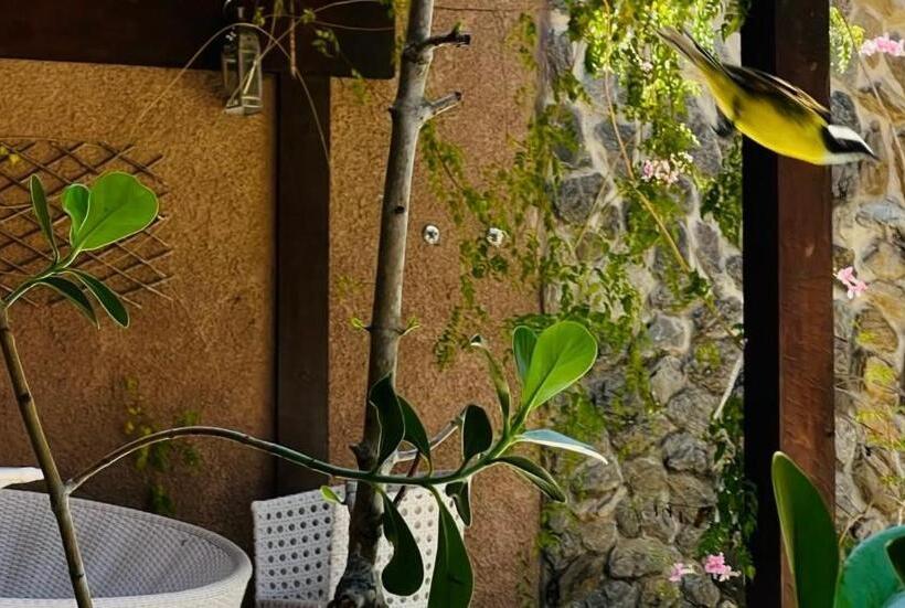 Medencére Néző Standard Szoba, Suítes São Francisco Com Piscina