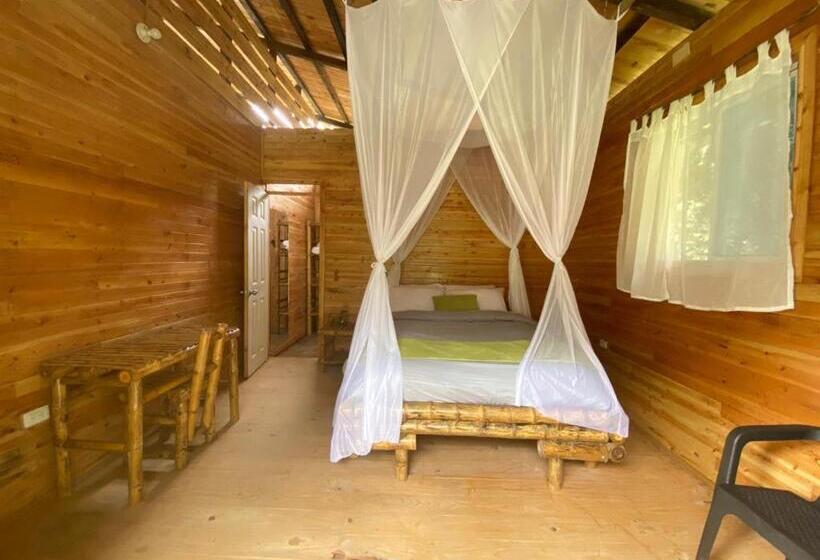 Номер Стандарт, Ecogreen Hotel San Cipriano