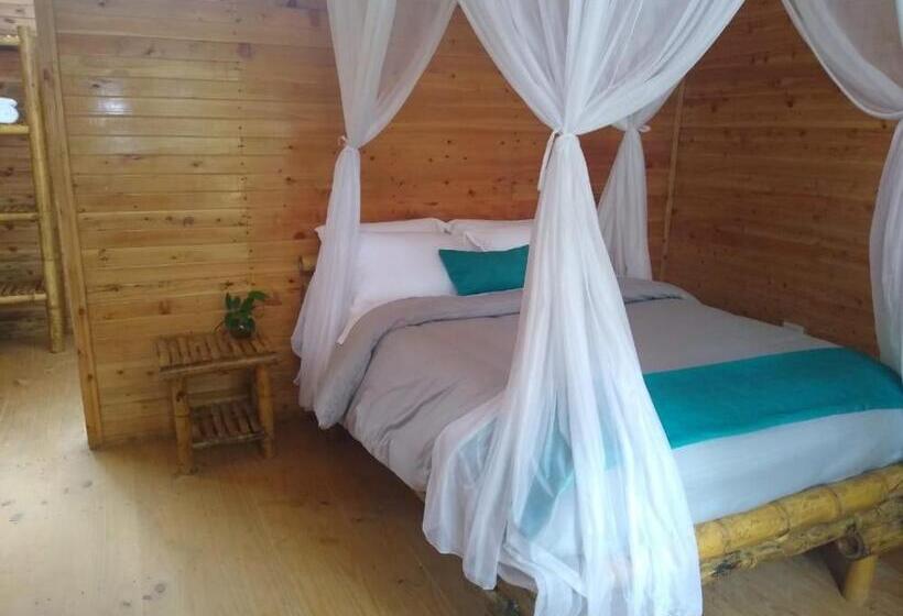 Номер Стандарт, Ecogreen Hotel San Cipriano