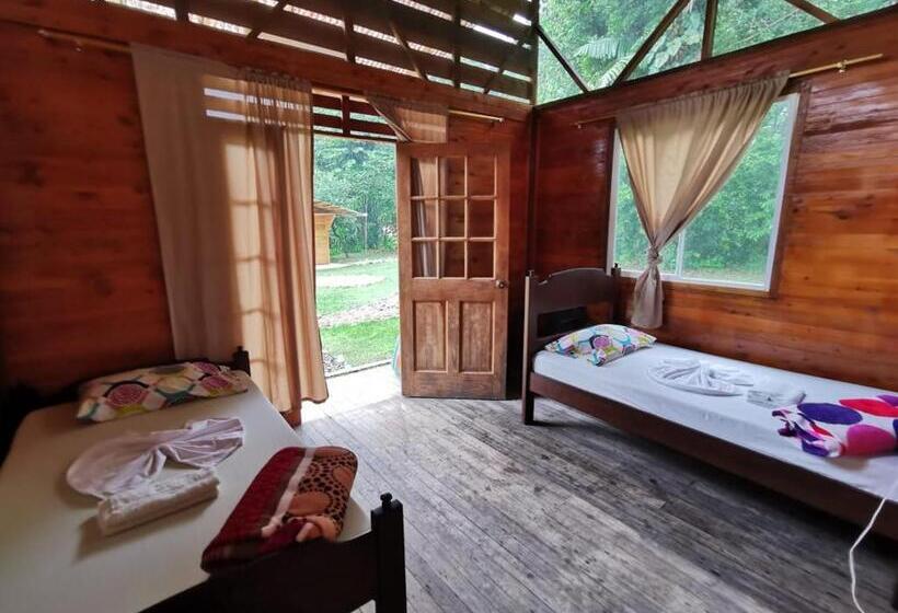 Четырехместный Номер Стандарт, Ecogreen Hotel San Cipriano