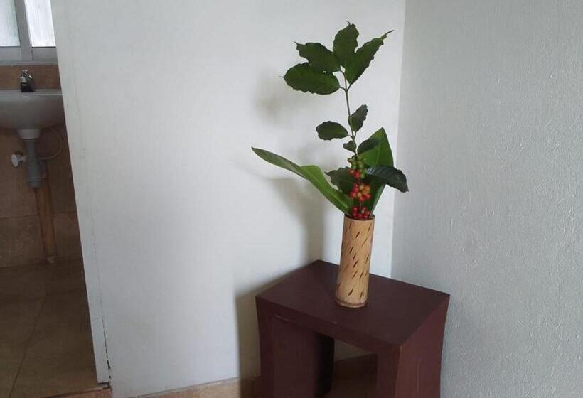 标准间, Oassis Conexion Sin Fronteras