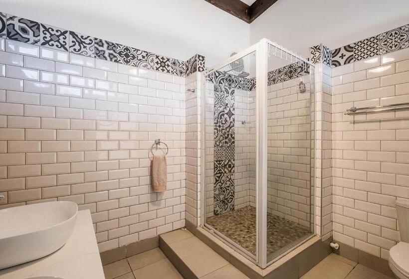 آپارتمان 1 خوابه با چشمانداز باغ, Alte Villa Boutique