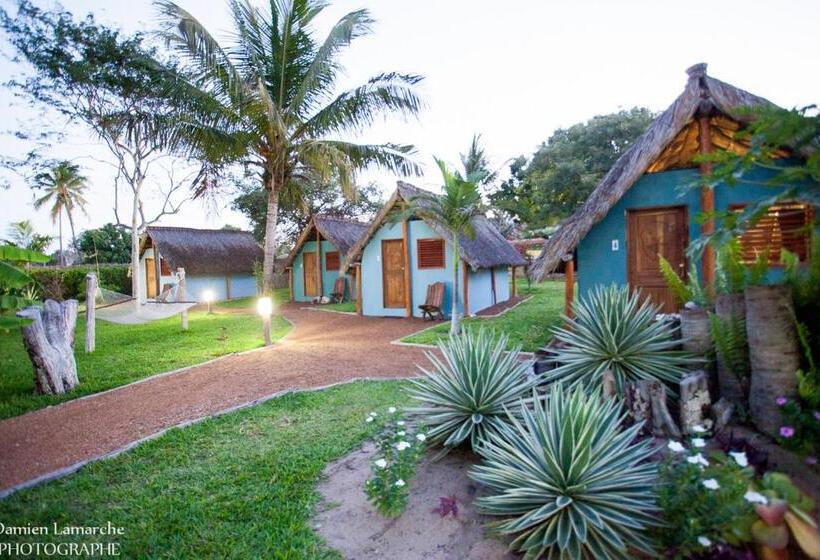 스탠다드 방갈로, Casa Jules