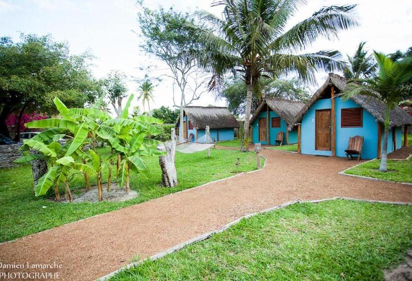 스탠다드 방갈로, Casa Jules