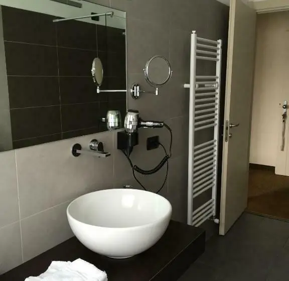 Standard-huone Järvinäkymä, Lido Di Angera