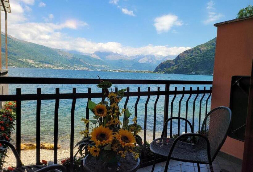 基本间, Meridiana