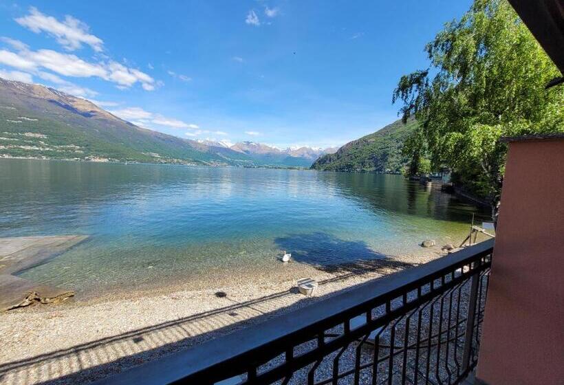 基本间, Meridiana