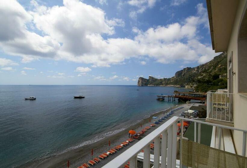 Quarto Estandar, Taverna Del Capitano