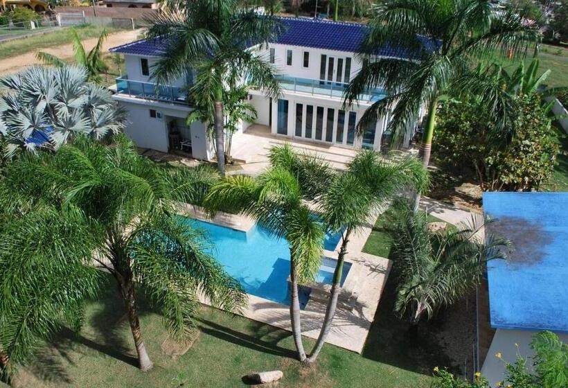 سوییت لوکس, Manati World Point Inn