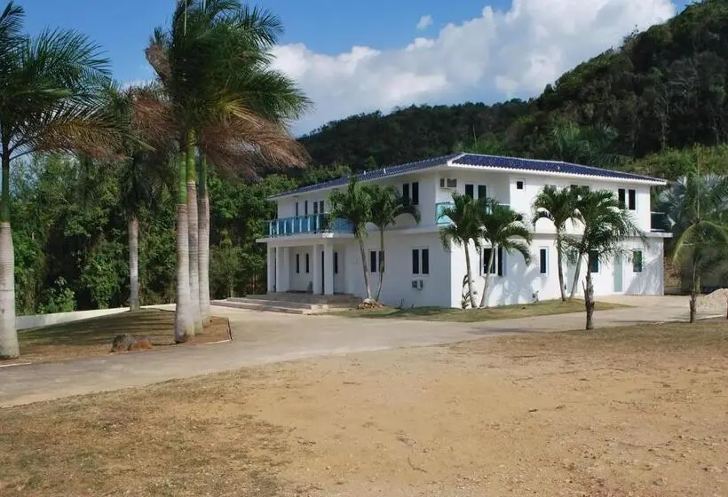 سوییت لوکس, Manati World Point Inn