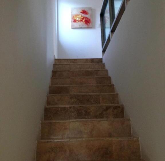 سوئیت با تخت بزرگ, Manati World Point Inn