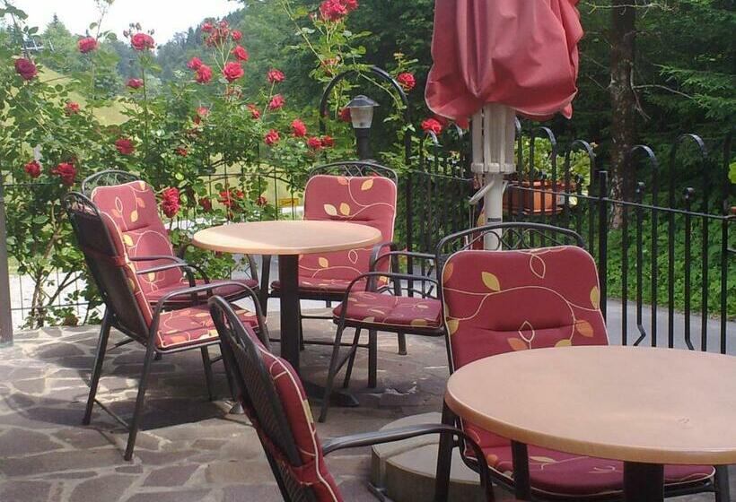 اتاق استاندارد, B&b Na Kluk