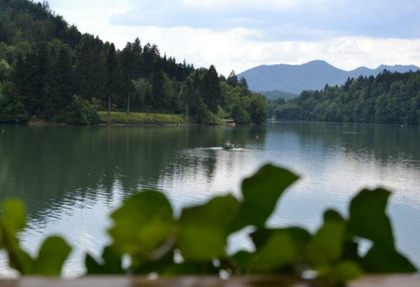 اتاق استاندارد با چشم‌انداز دریاچه, Gostisce Jezero