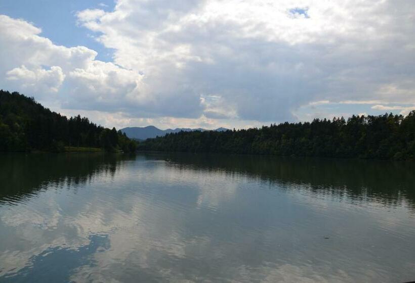 اتاق استاندارد با چشمانداز دریاچه, Gostisce Jezero