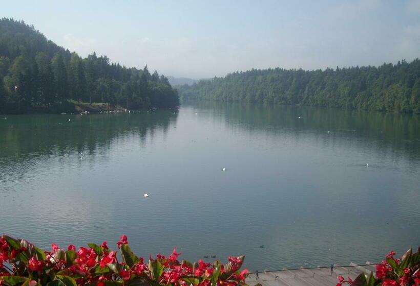 اتاق استاندارد با چشمانداز دریاچه, Gostisce Jezero