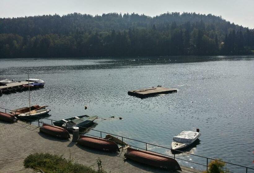 اتاق استاندارد با چشمانداز دریاچه, Gostisce Jezero