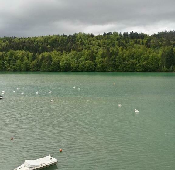 اتاق استاندارد با چشمانداز دریاچه, Gostisce Jezero