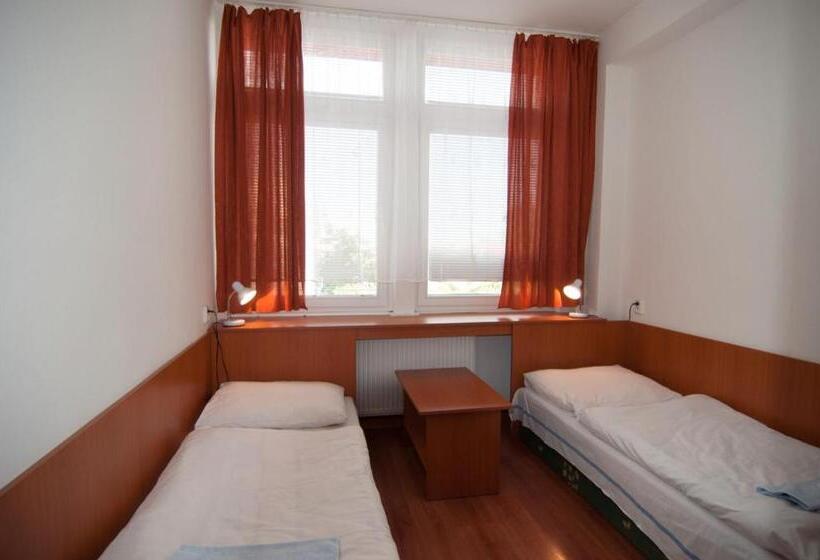 اتاق اکونومی, Avion