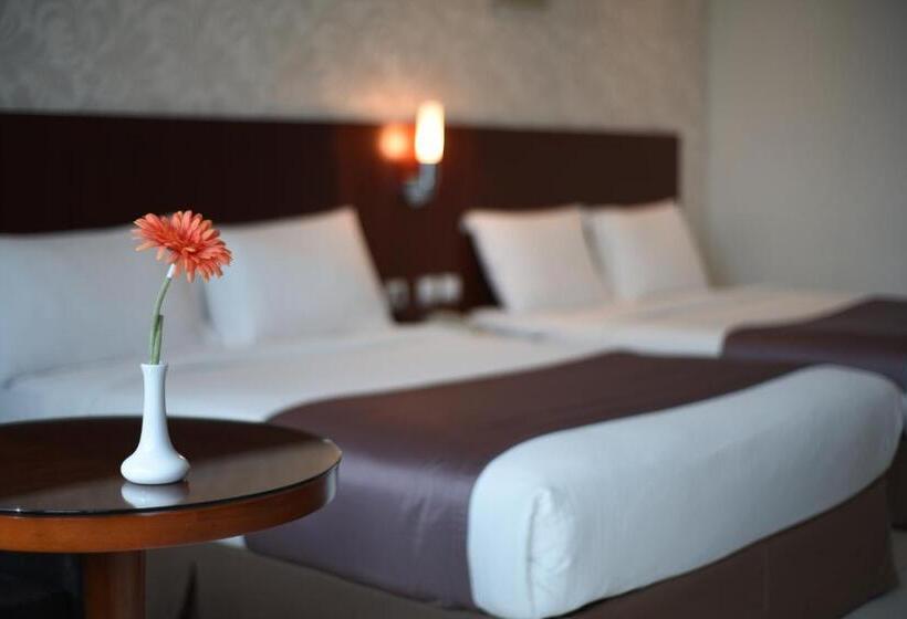 غرفة ديلوكس, Grand Mayral