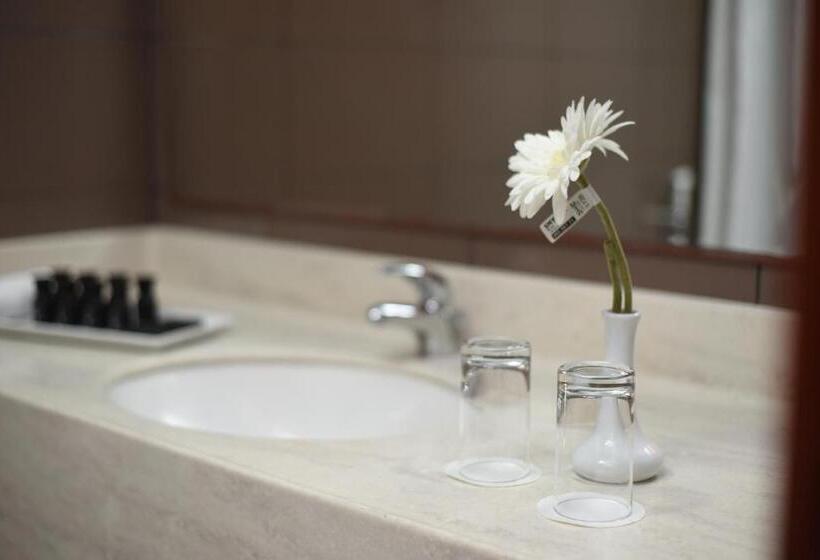 غرفة ديلوكس, Grand Mayral