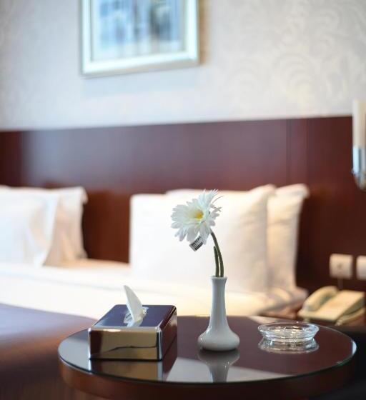 إستوديو قياسى, Grand Mayral