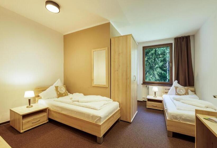 חדר סטנדרט, Lopušná Dolina Resort