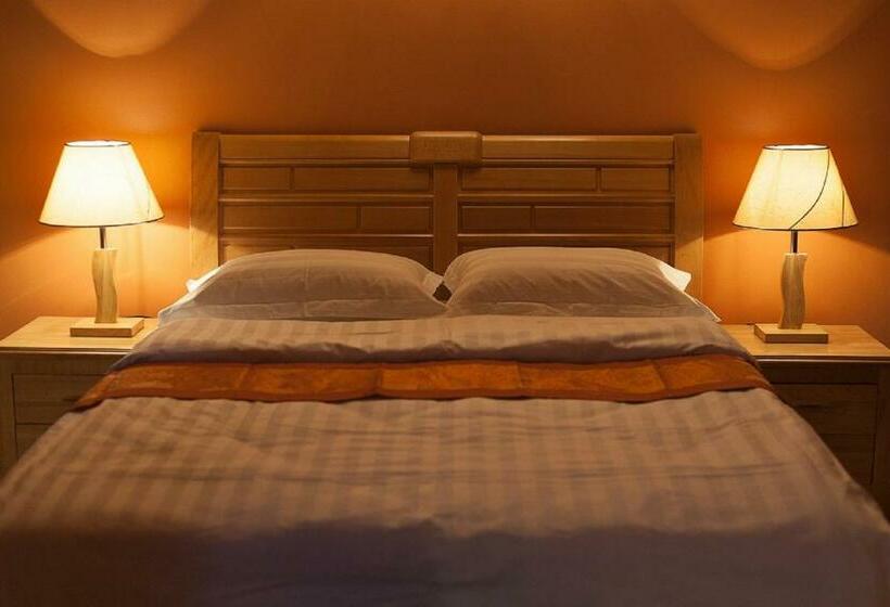 اتاق استاندارد, Otroiza