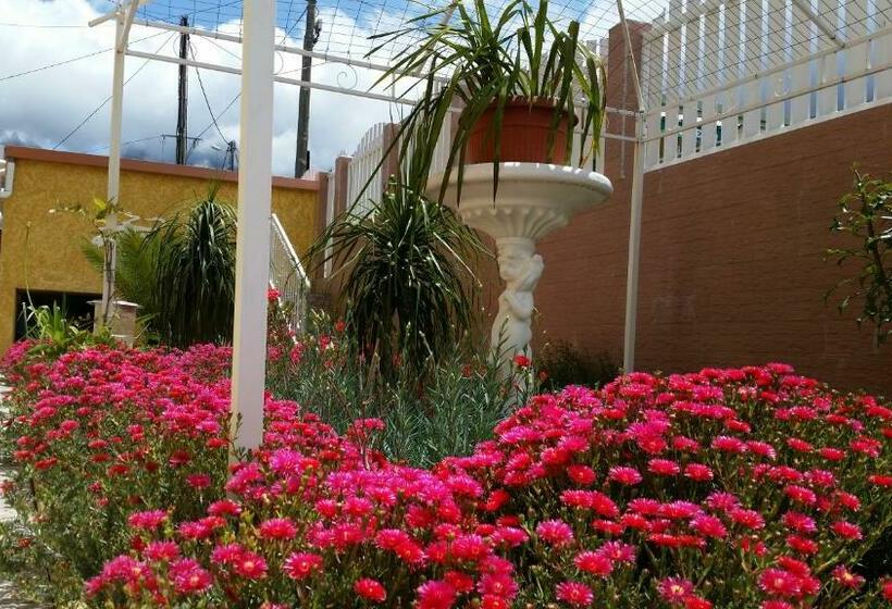 اتاق استاندارد, Otroiza