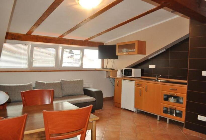 آپارتمان 1 خوابه با بالکن, Penzion Kobala