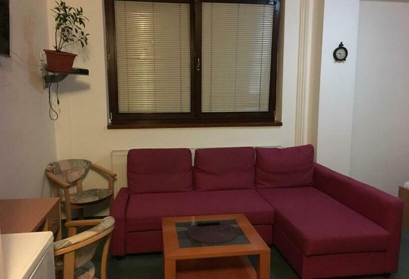 سوییت جونیور, šport Hotel Bôrik