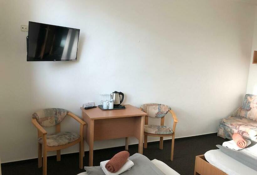 غرفة قياسية, šport Hotel Bôrik