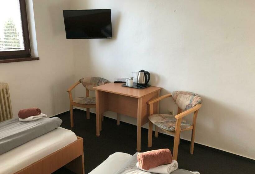 اتاق استاندارد, šport Hotel Bôrik