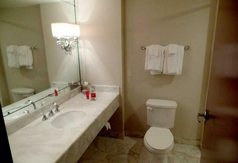 اتاق سوپریور با تخت بزرگ, Rose Palace Hotel, Gulberg