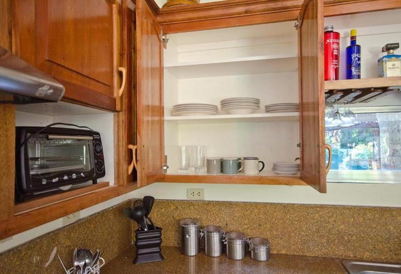 וילה בת 2 חדרי שינה, Mike's Dauin Dive Resort