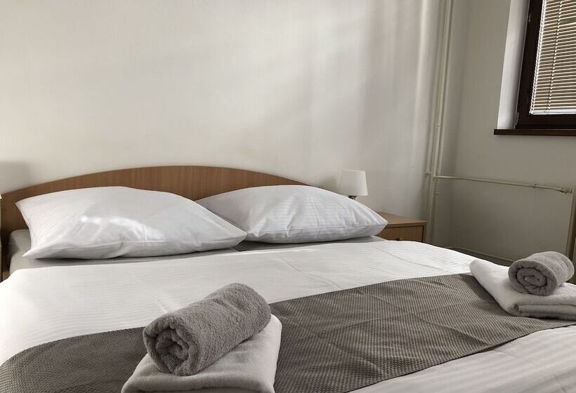 غرفة قياسية, šport Hotel Bôrik