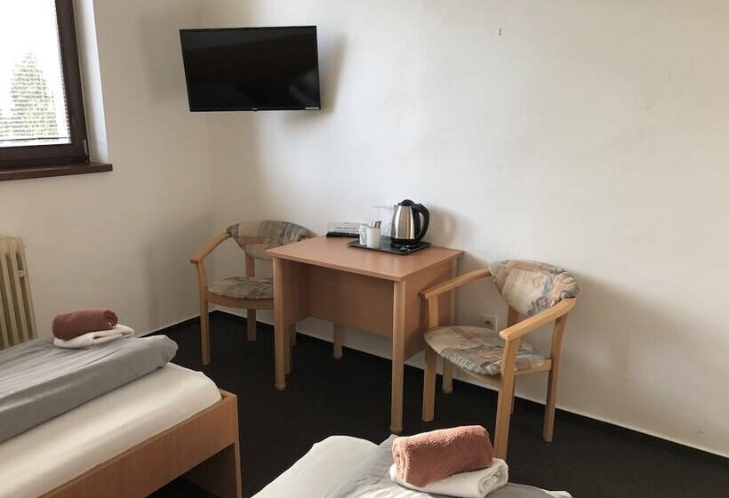 غرفة قياسية, šport Hotel Bôrik