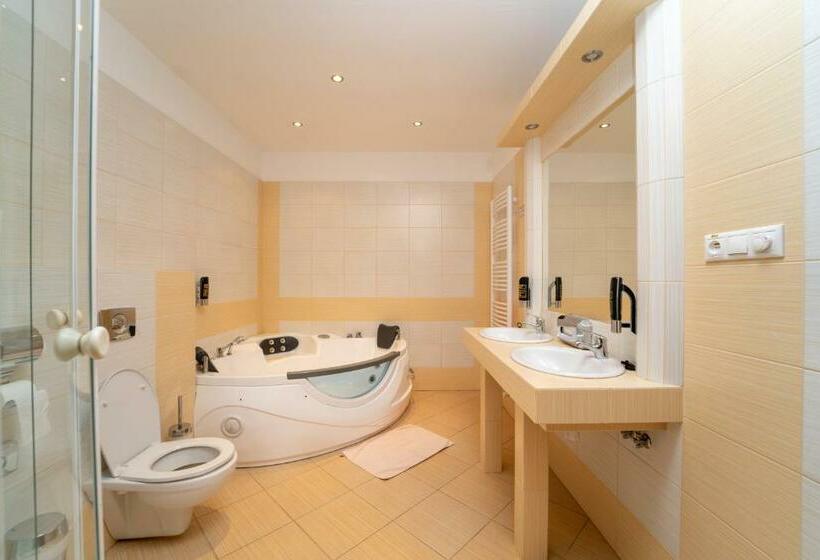 带1个卧室的公寓, Penzion Josu