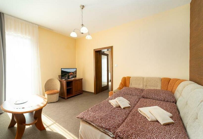 带1个卧室的公寓, Penzion Josu