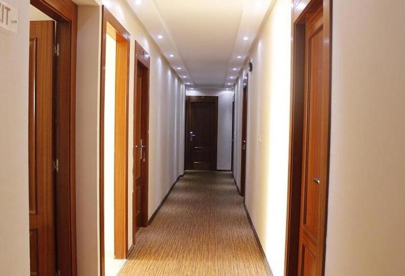 豪华单人间, Verdi