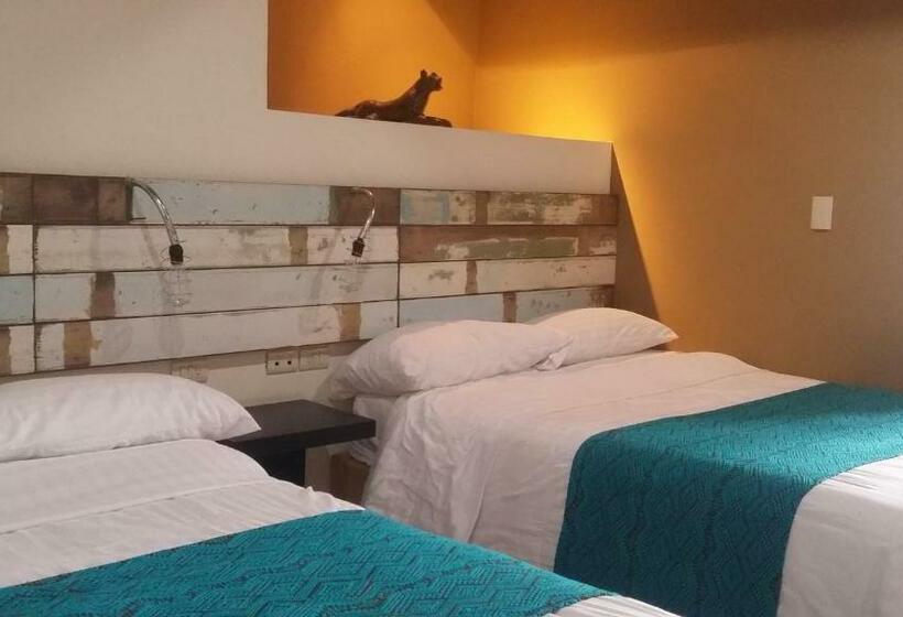 4인용 스탠다드 룸, Casa Caelum