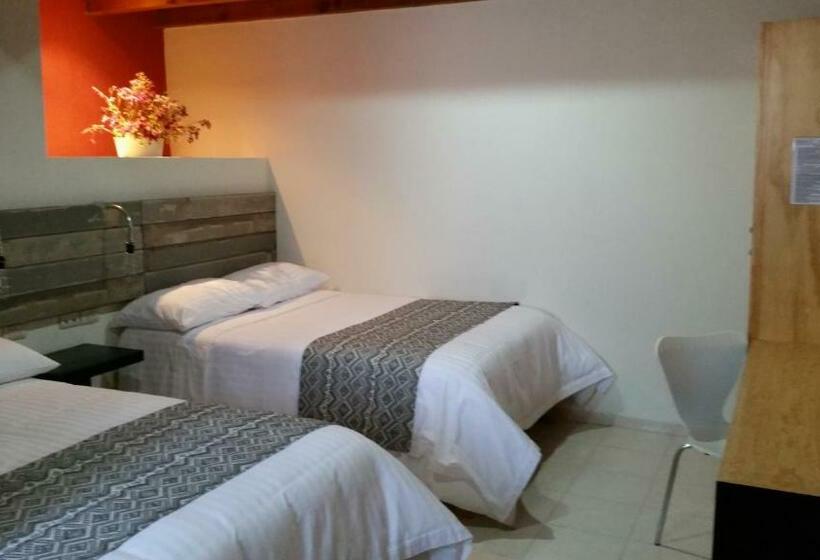 4인용 스탠다드 룸, Casa Caelum