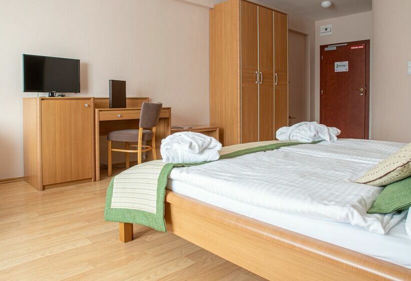 Номер Стандарт, Wellness Hotel Patince